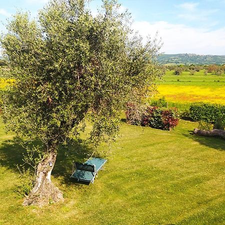 Agriturismo La Dependance Sorano  Eksteriør billede