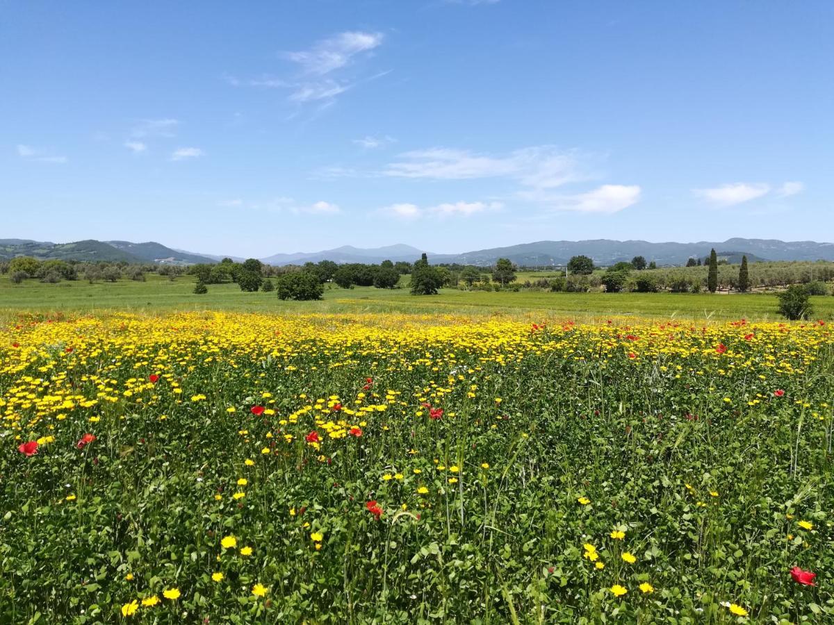 Agriturismo La Dependance Sorano  Eksteriør billede